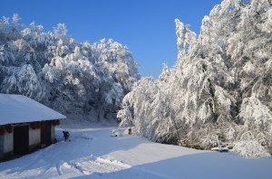 Slovenian winter wonderland