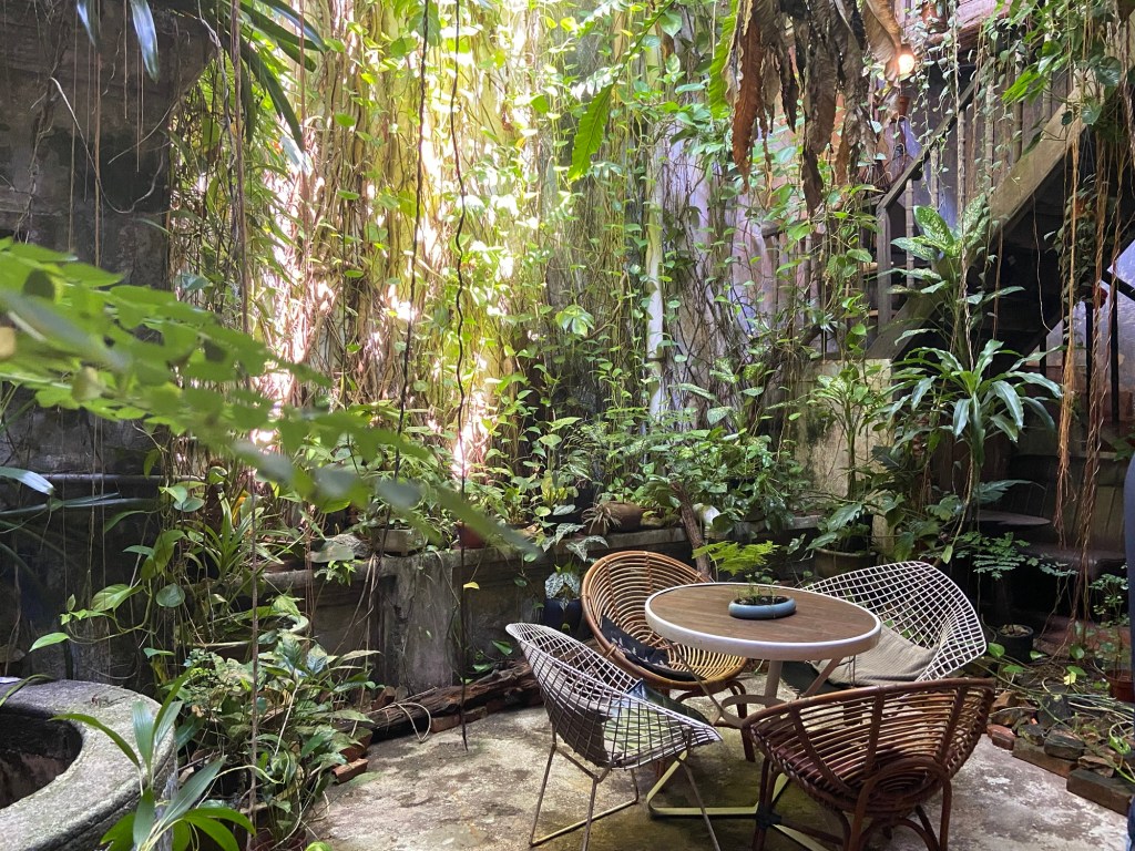 A serene indoor garden with lush green plants, featuring a small wooden table surrounded by wicker chairs in a cozy, natural setting.
